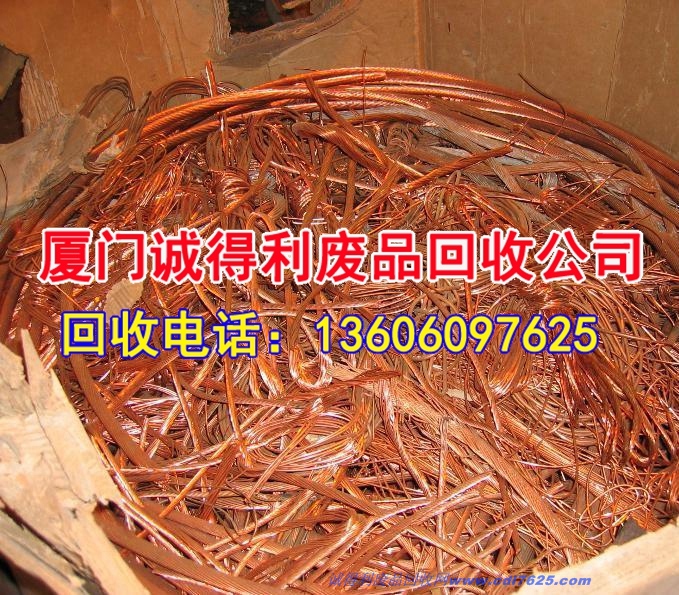 厦门海洋回收塑料